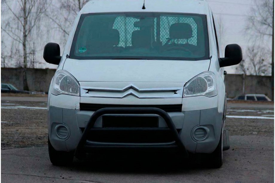 Citroen Berlingo 2008–2018 Bullbar WT022 Black (RVS) Image