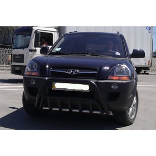 Bullbar WT002 Black (RVS) foto 3
