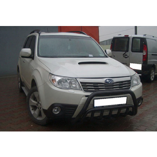 Bullbar WT002 Black (RVS) foto 3