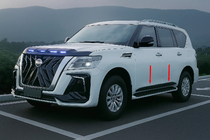 Infiniti QX80 2013–2024 Deurlijsten (4 stuks, zwart) foto 6