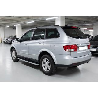Side steps Tayga Grey (set van 2, aluminium) foto 1