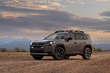 Review Toyota RAV4 Woodland: avontuurlijke crossover met hybride aandrijving foto 1