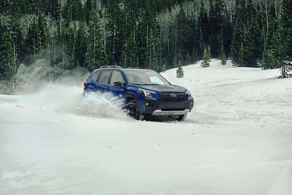 Welke auto is het meest geschikt voor winterse ritten?