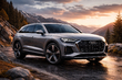 Audi Q9: auto uit de toekomst foto 1