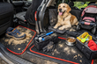 Kinderen, hond, dagelijks rijden: bescherm het interieur tegen zand en haren – EVA-matten №1 foto 1
