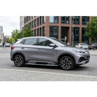 Side steps Tayga V2 (2 stuks, aluminium) foto 1