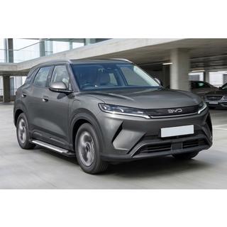 Side steps Line (2 stuks, aluminium) BYD Atto 2/Yuan Up 2024– foto 1