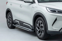 BYD Atto 2/Yuan Up 2024– Rainbow zijtreden (set van 2, aluminium) foto 1