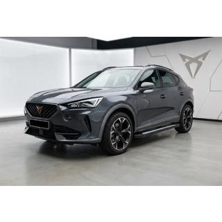 Side steps Tayga V2 (2 stuks, aluminium) foto 1