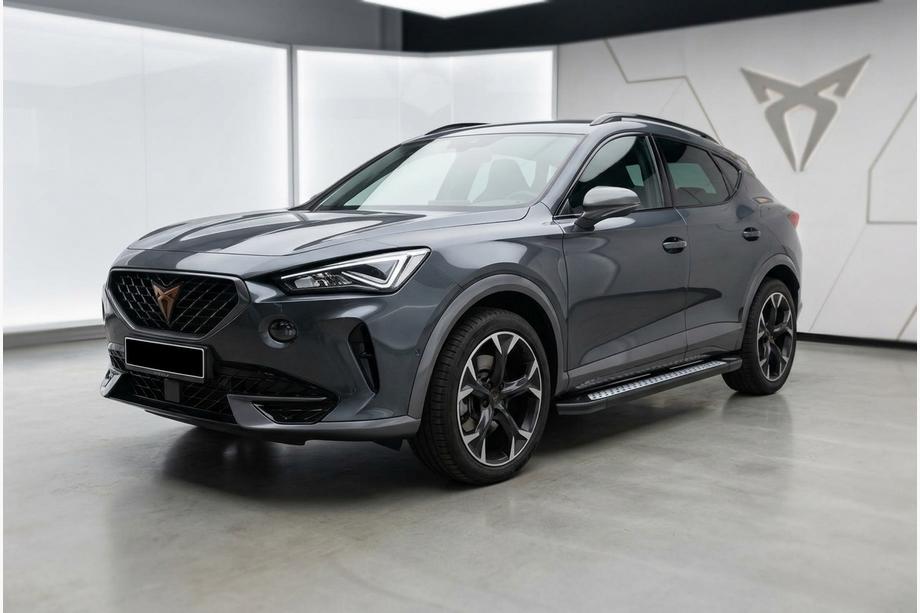Cupra Formentor 2020– Side steps Tayga V2 (2 stuks, aluminium) Image