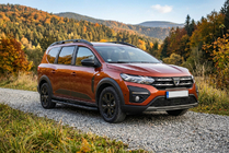 Dacia Jogger 2022– Tayga Black zijtreden (set van 2, aluminium) foto 1
