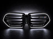 BMW X5 G05 2019–2026 LED niergrille (voor X5M F95, 2023+) foto 1