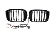 BMW X3 G01 2018– Niergrilles 1 Bar LED (2018-2021, glanzend zwart) foto 6