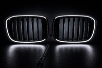 BMW X4 G02 2018– Niergrilles 1 Bar LED (2018-2021, glanzend zwart) foto 5
