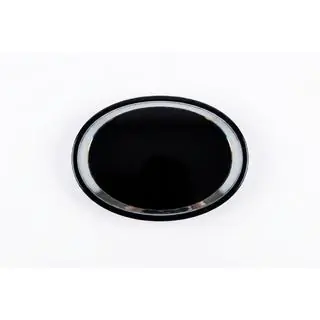 Voorste embleem onder glas V1 (19,3 cm * 13,5 cm) foto 1