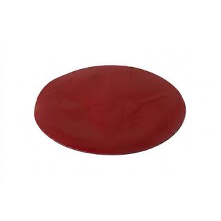 Achterembleem zonder glas V5 (17 cm × 12,5 cm) foto 2