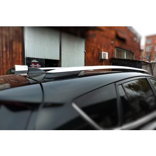 OEM dakrails grijs (aluminium) foto 3