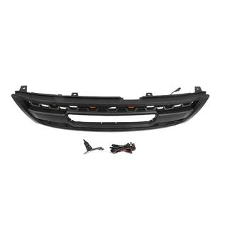 Radiateurgrille 2002-2004 (OffRoad) foto 4