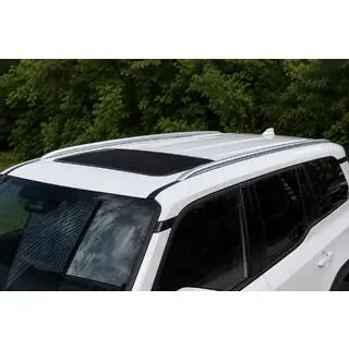 Geïntegreerde grijze OEM dakrails (aluminium)