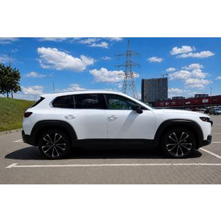 Grijze OEM dakrails (aluminium, montage met lijm) foto 1