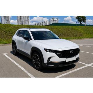Grijze OEM dakrails (aluminium, montage met lijm) foto 2