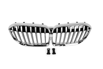 BMW 7 Serie G11/G12 2015–2022 Nierengrille 1 Bar (2019-2022, Chrome) foto 2