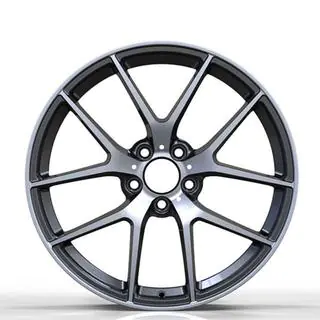 Gesmede velgen DH-Style V20 R22