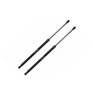 Gasveren voor motorkap (2 stuks) Lexus LX570/450d 2008–2022