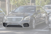 Mercedes S-Class W222 2013–2022 Set bumpergrilles 2018-2021 (S65 AMG, chroom) foto 1