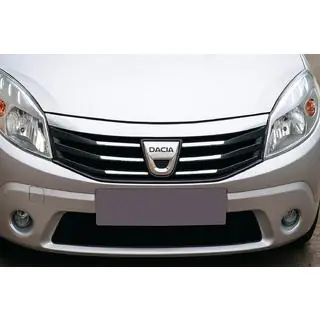 RVS sierlijst voor frontgrille foto 1