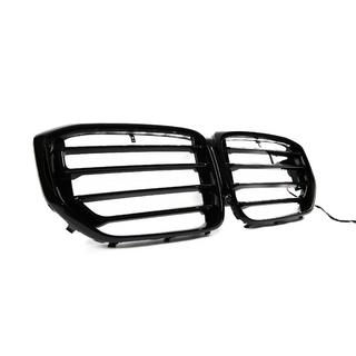 Niergrillen X5M F95 Design LED (2023+) BMW X5 G05 2019–2026 foto 3