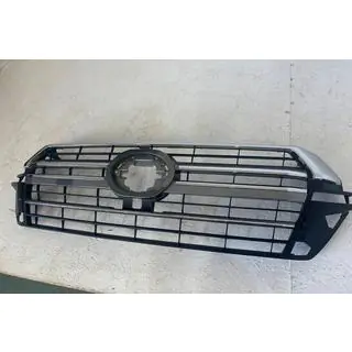 Afgeprijsd Radiateurgrille 2016-2021 (design 2019) foto 3