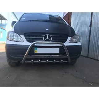 Bullbar 60 mm (RVS) foto 2