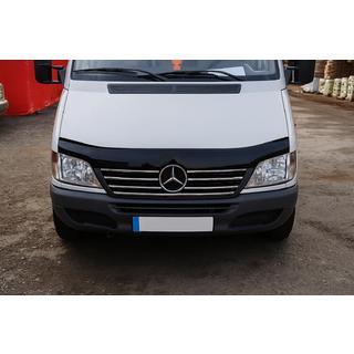 Randlijsten voor radiateurgrille (2000-2002, 7-delig, RVS) Mercedes Sprinter W901/902/903/904/905 1995–2006 foto 1