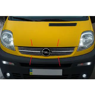 RVS sierlijsten voor grille 2001-2007 (8 stuks, RVS) foto 1