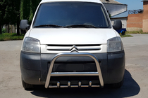 Peugeot Partner 1996–2008 RVS bullbar WT003 51 mm foto 4