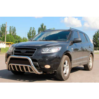 Bullbar WT002 (RVS) foto 2