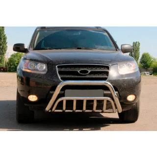 Bullbar WT002 (RVS) foto 1
