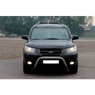 Bullbar WT007 (rvs) foto 3