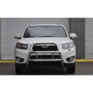 Bullbar WT018 (RVS) foto 2