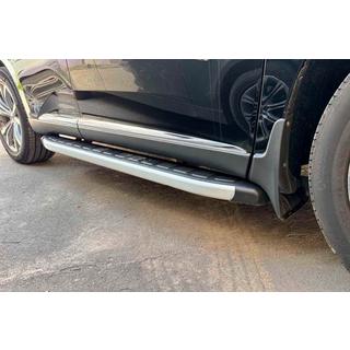 Fullmond side steps (set van 2, aluminium) foto 1