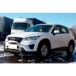 Voorste bullbar WT021 (RVS) foto 1