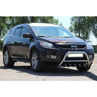 RVS bullbar voorzijde WT003