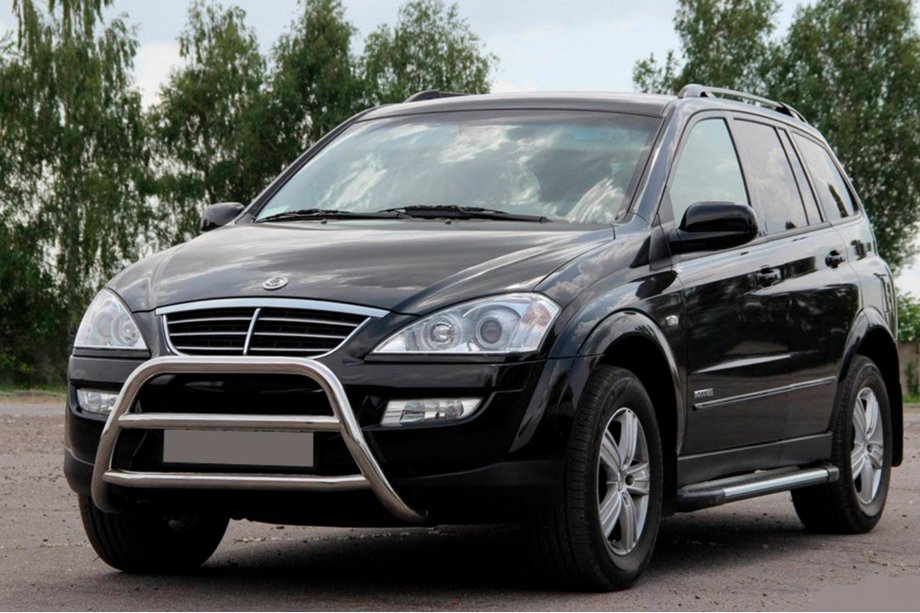 SsangYong Kyron 2005–2014 Bullbar WT022 (RVS) Image