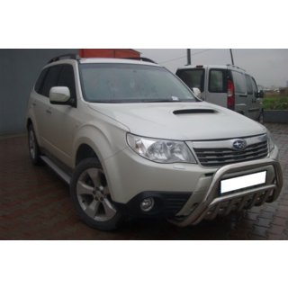 Bullbar WT002 (RVS) foto 3