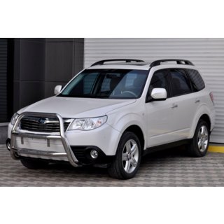 Bullbar WT018 (RVS) foto 3