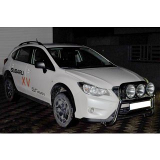 Bullbar WT018 (RVS) foto 2