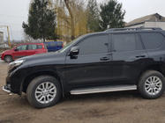 Toyota Land Cruiser Prado 150 2009–2023 Dorpelbescherming BB004 (set van 2, RVS) foto 7