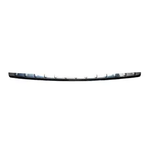 RVS sierlijst voor achterbumper Carmos (RVS) foto 2