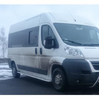 Premium side steps (2 st., RVS) foto 2